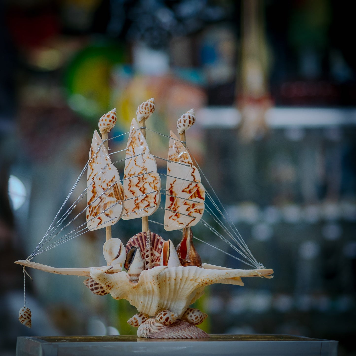 Seashell Sloop Collectible