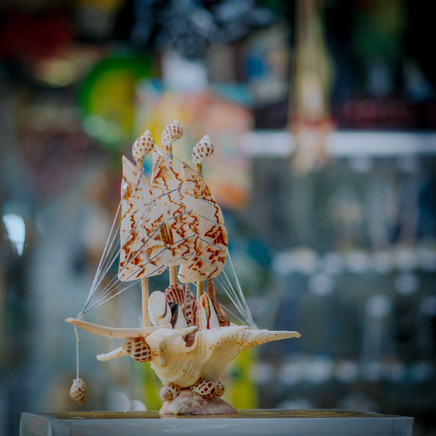 Seashell Sloop Collectible
