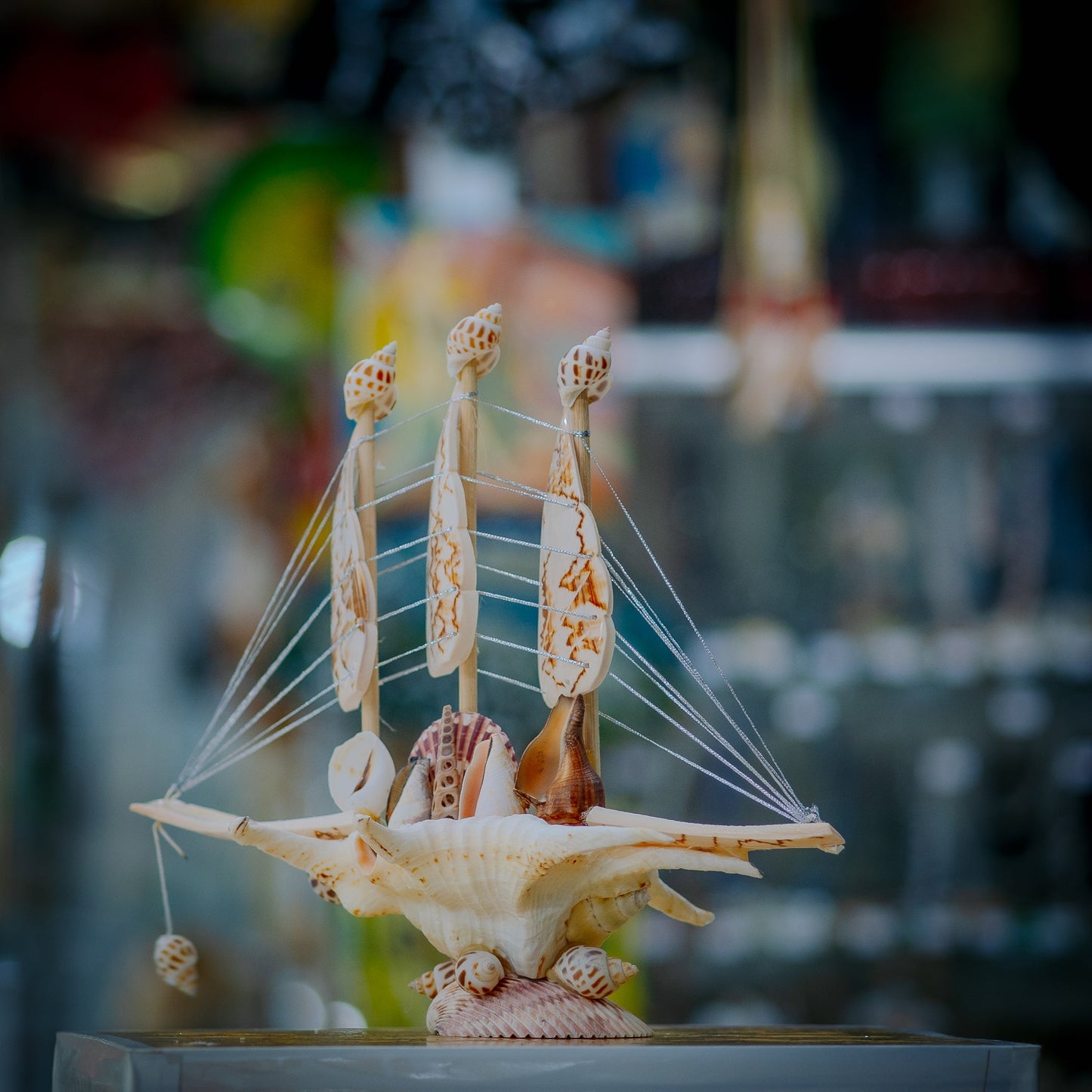 Seashell Sloop Collectible