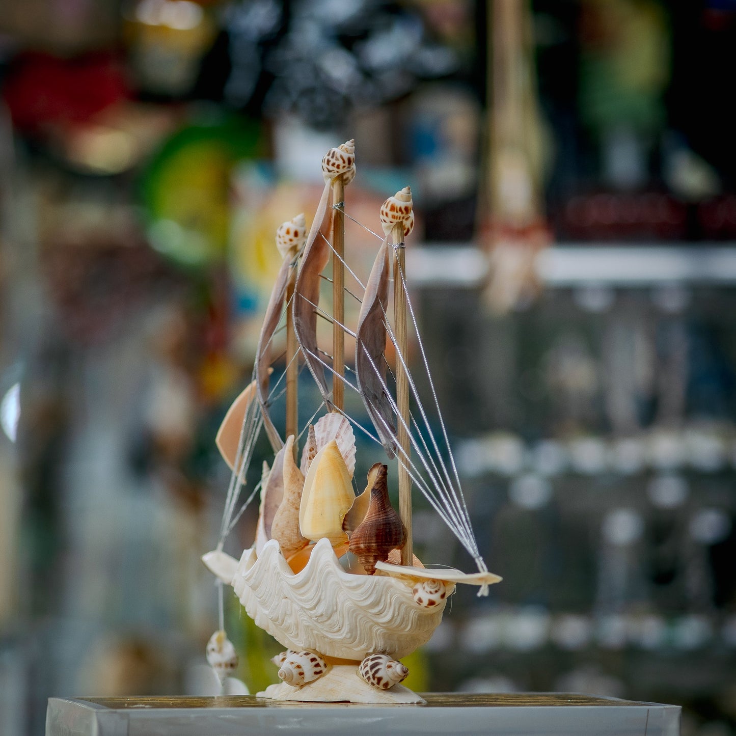 Pearlescent Seashell Sailboat