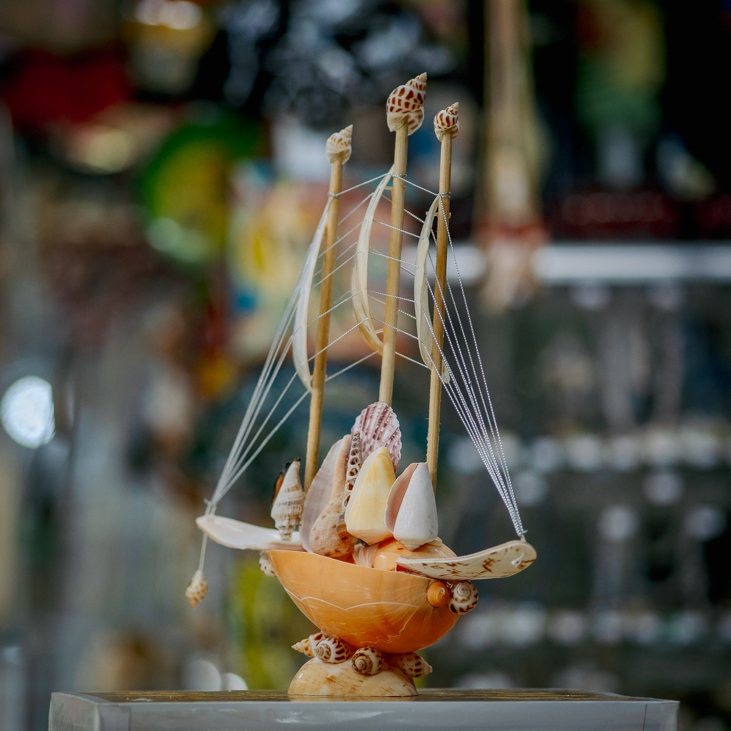 Scallop Shell Pearl Sailboat