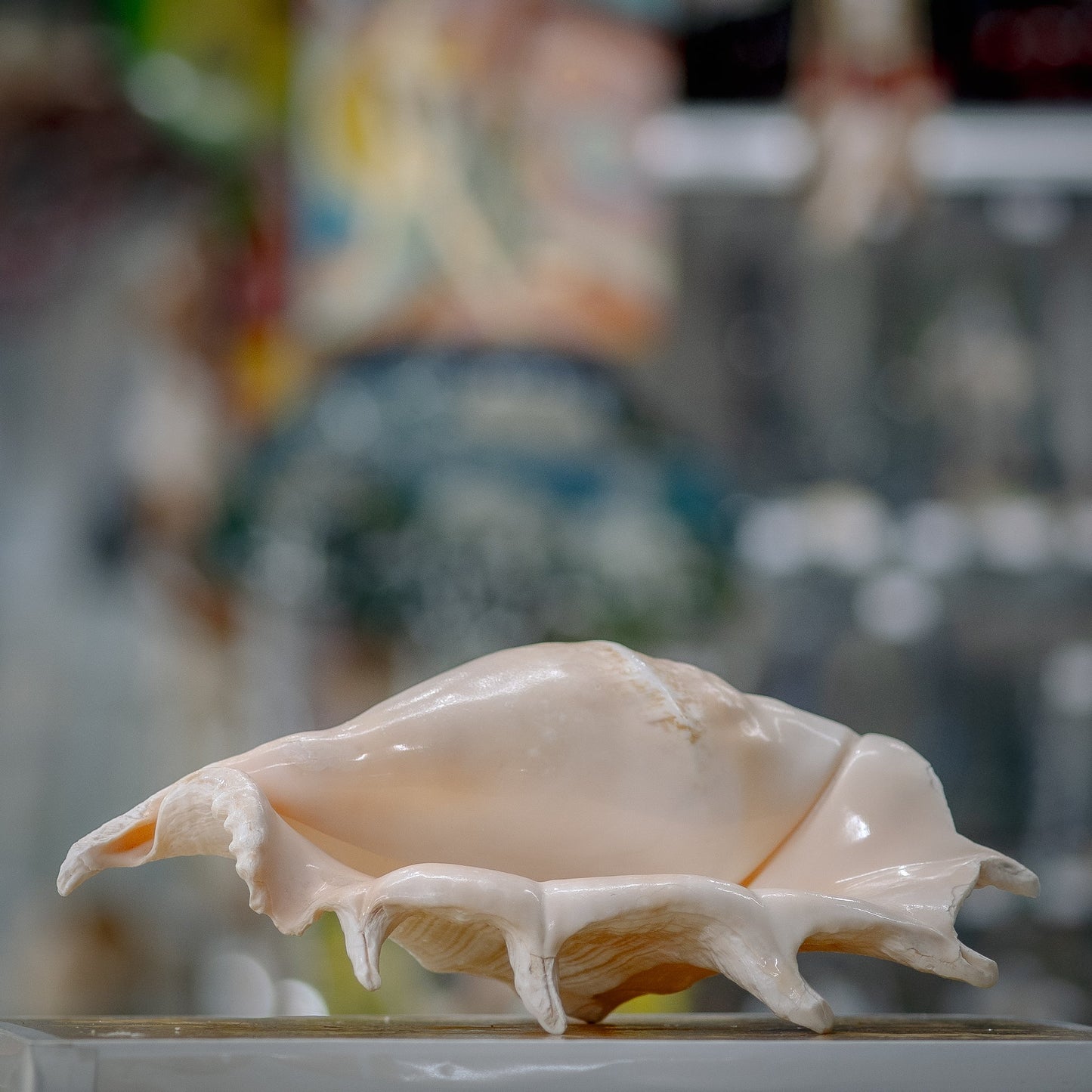 Dancing Fingers Seashell Charm