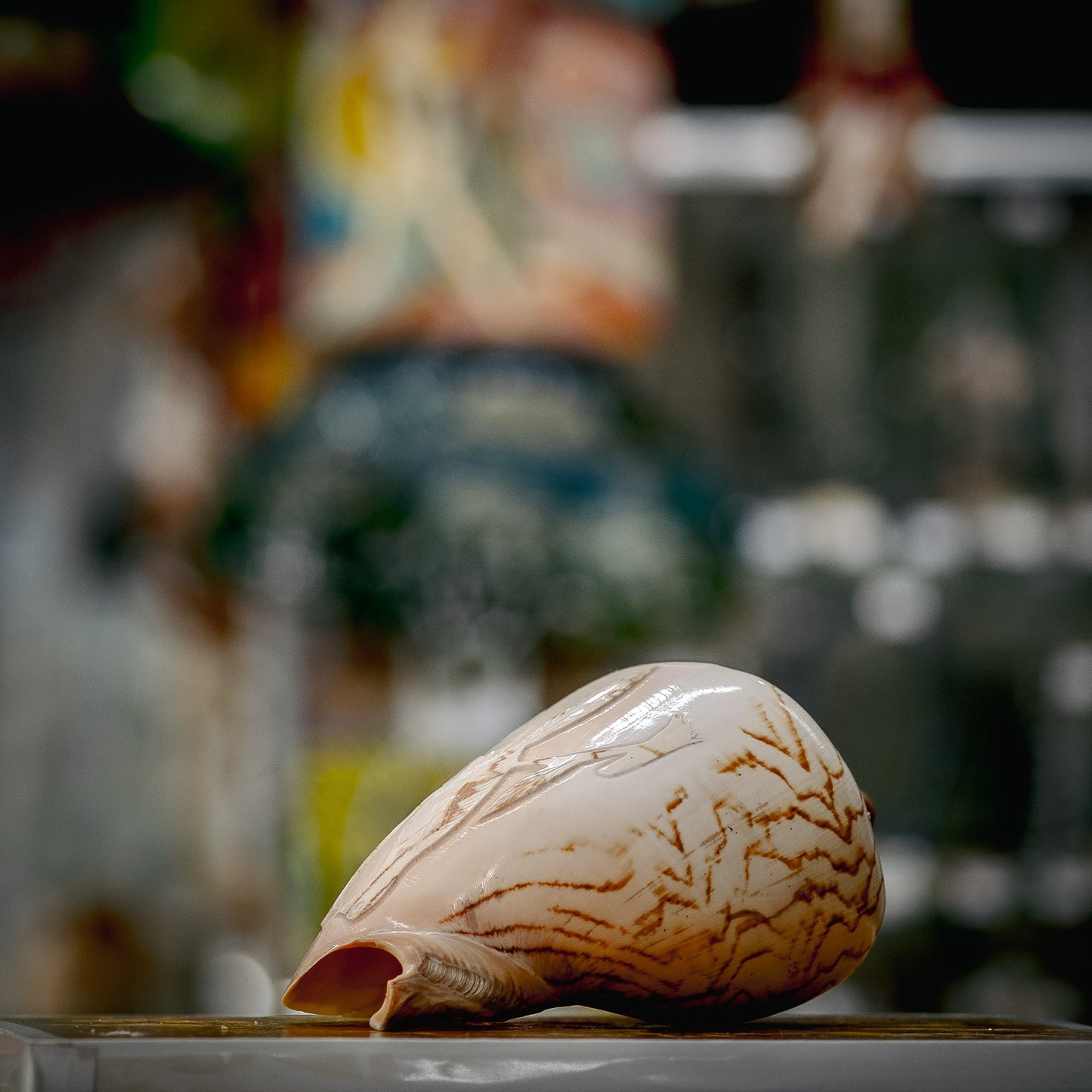 Sculpted Birds Seashell Treasure