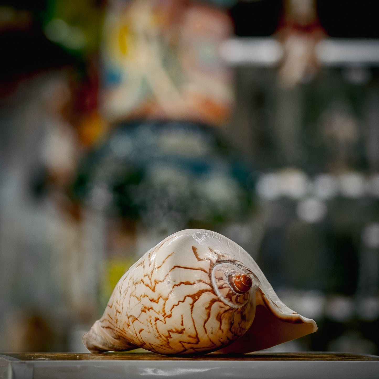 Sculpted Birds Seashell Treasure