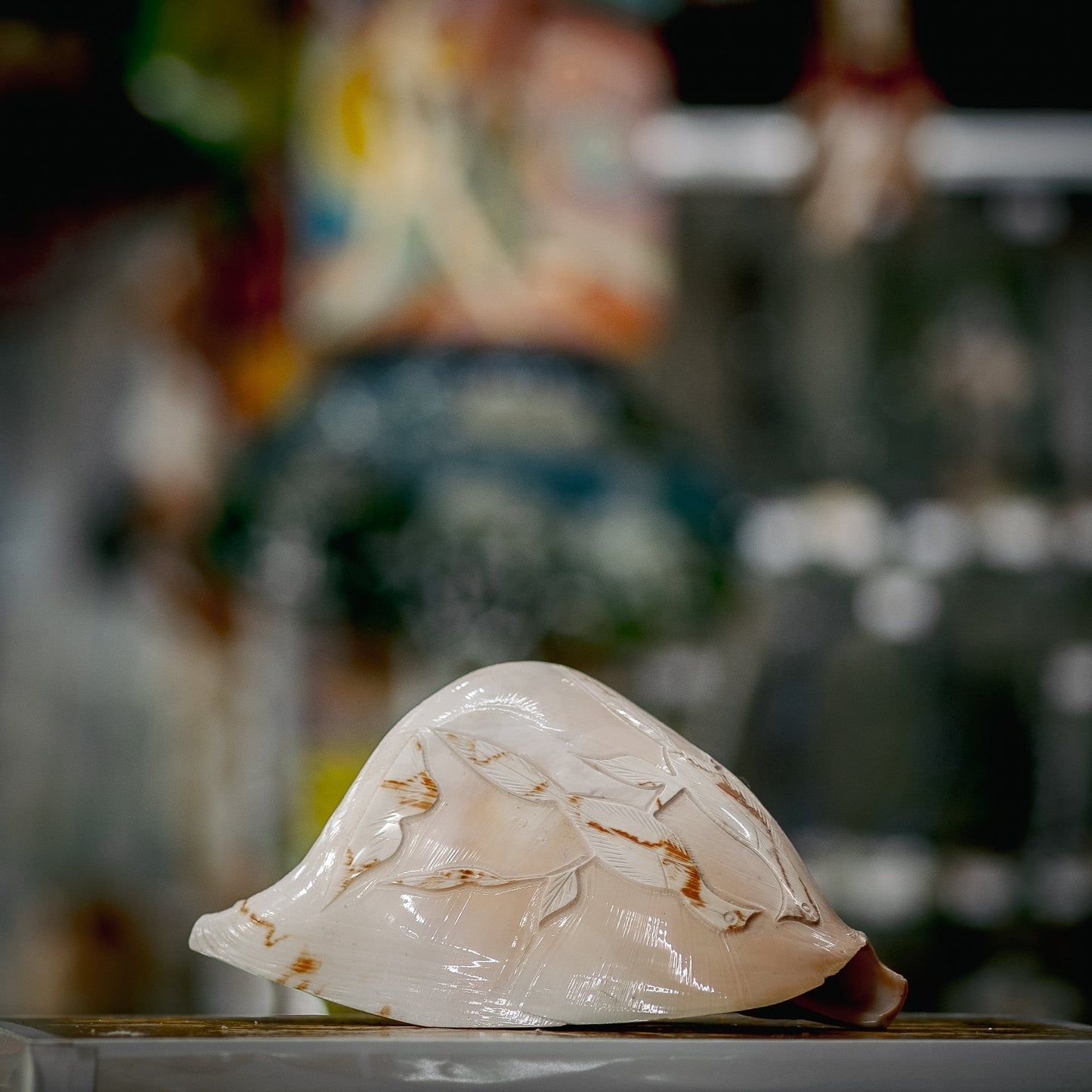 Sculpted Birds Seashell Treasure