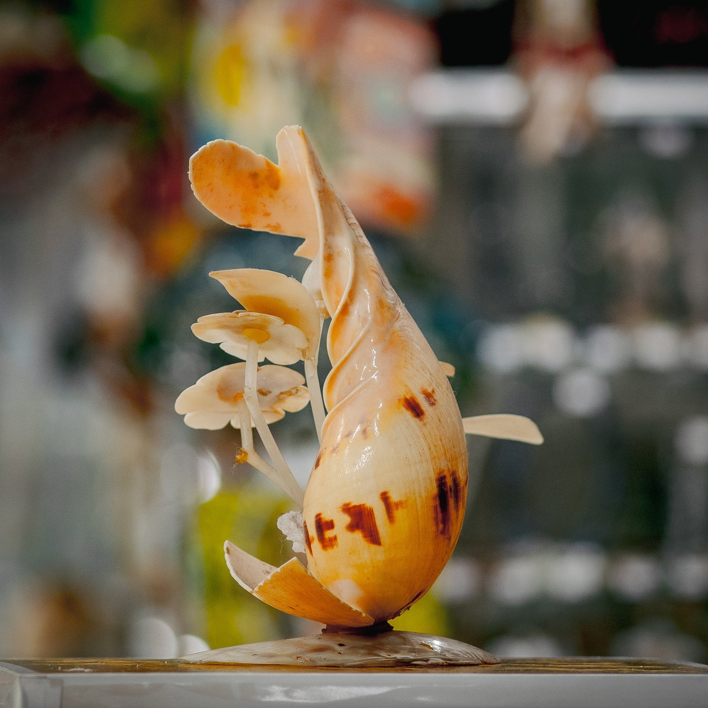 Flower Cave Seashell Sculpture