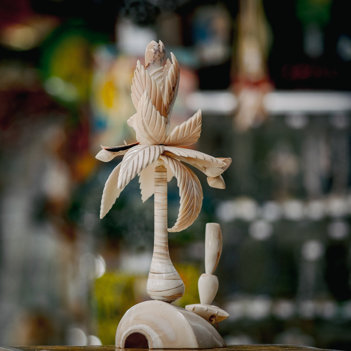 Coconut Seashell Pen Holder